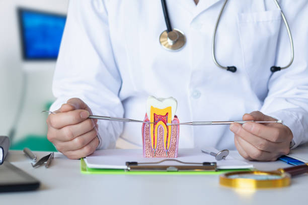 Best Emergency Root Canal Treatment in Westmont, PA